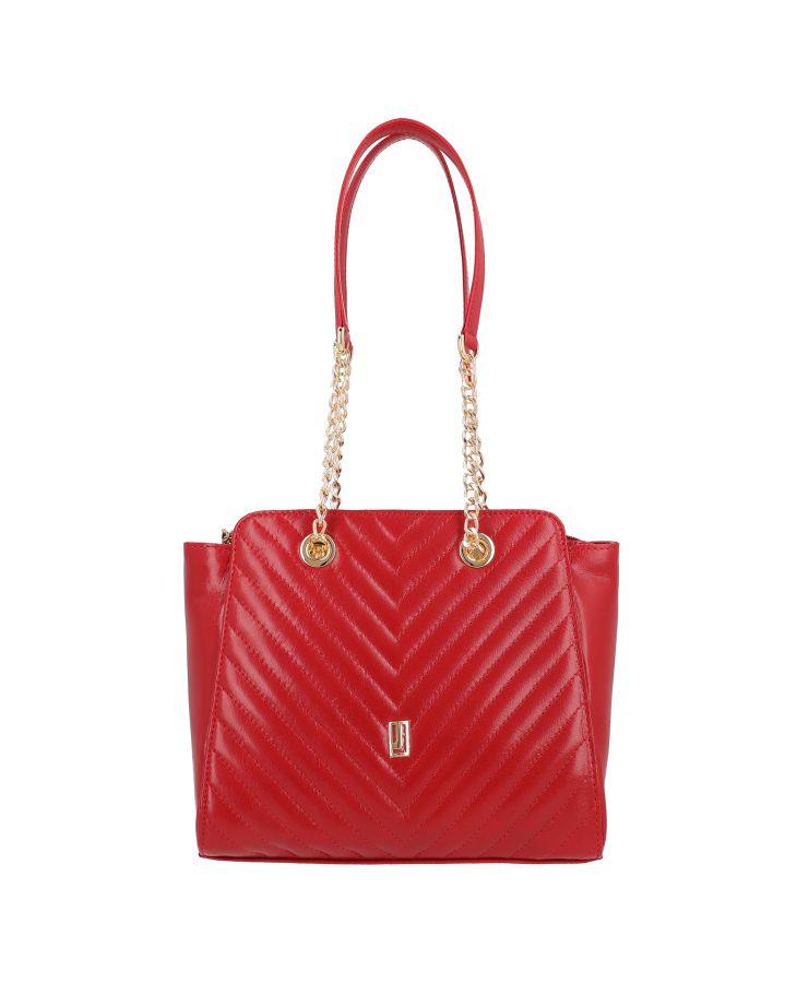 Sleek bag with gold chain