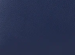 blue-tan0-0018