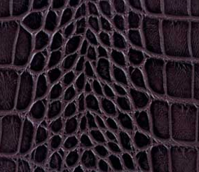 Brown-012
