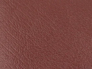 Dark tan-12