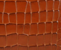 Dark tan-12