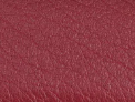 Maroon-01