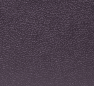 Brown-303