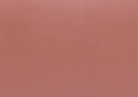 Chestnut Tan